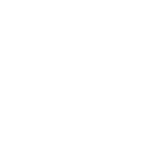 Sintro